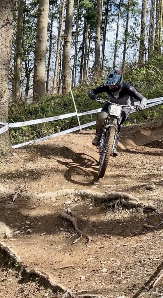 Roots at Rhyd-y-Felin